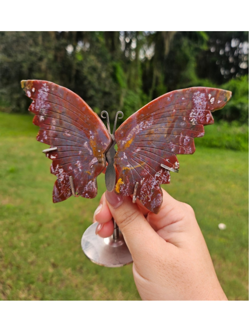 Ocean jasper butterfly on stand